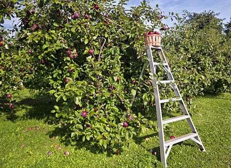 Многих аграриев ждет банкротство, - эксперт