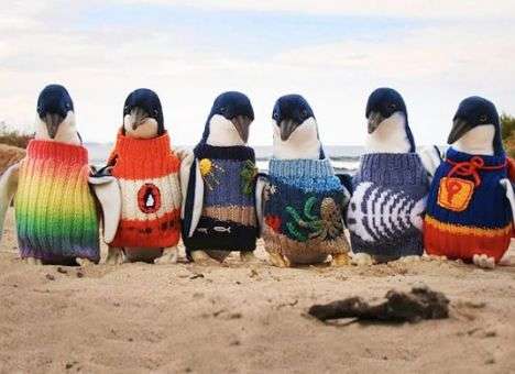 В Австралии 109-летний мужчина год вязал свитера для пингвинов