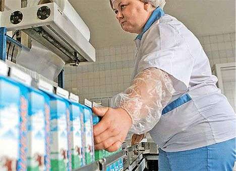 Молочные реки станут проблемой