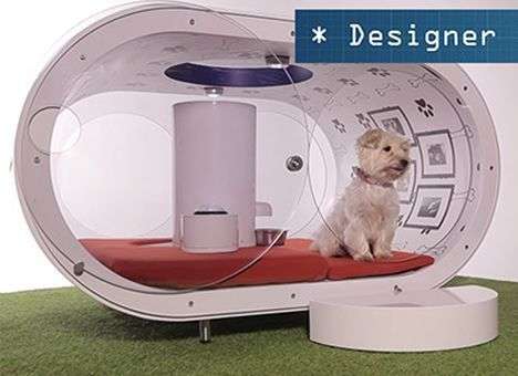 Samsung создал «дом мечты» для собак за $30,6 тыс.