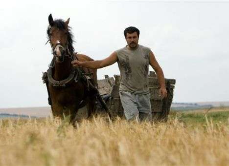Аграриям отменят льготы, - Меморандум МВФ