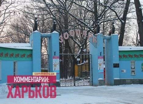 Харьковчанина, который лишился руки из-за слона, выписали из больницы
