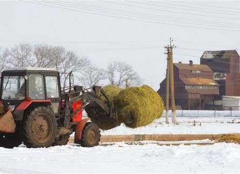 Иностранные инвесторы пытаются избавиться от украинской земли, - эксперт