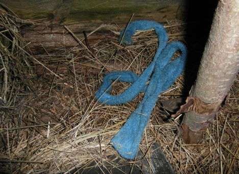 Школьница повесилась после ссоры с отцом (ФОТО)