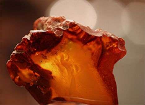 Конец президентского бизнеса