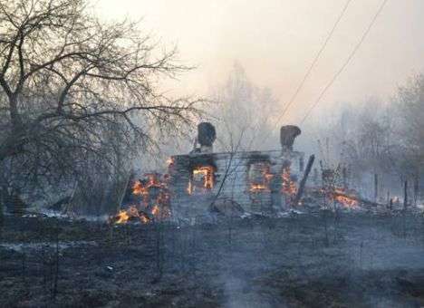 Спасатели озвучили последние данные по пожару в «Чернобыльской пуще»