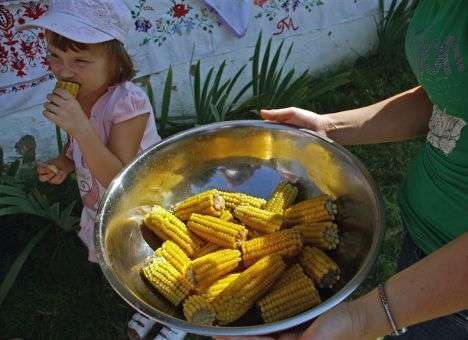 Украине пророчат будущее европейского «ГМО-гиганта»