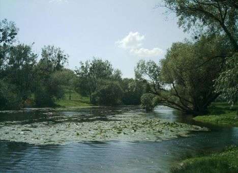 На Черкасчине в водоеме нашли тело малыша