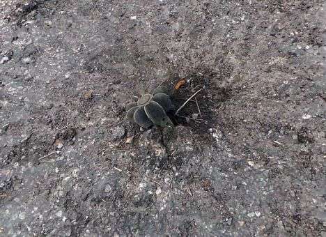 Глава МИД прокомментировал «провал» Минских соглашений