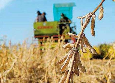 Под соевым соусом