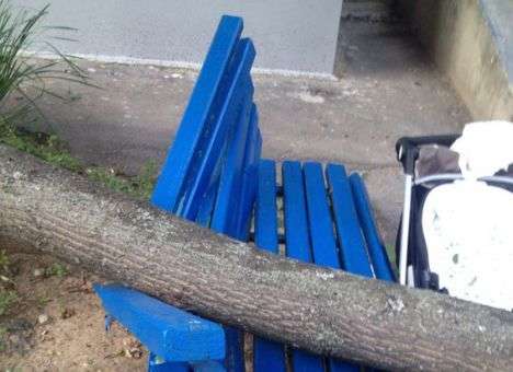В Харькове на женщину с малышом упало дерево (ФОТО)