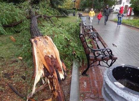 Ночью над Украиной пронеслась стихия