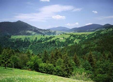 Стрелять их нельзя: Скрывающимся бойцам «ПС» дали уйти, - СМИ