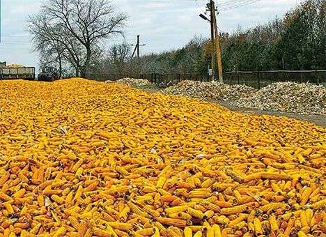 Закат экспорта