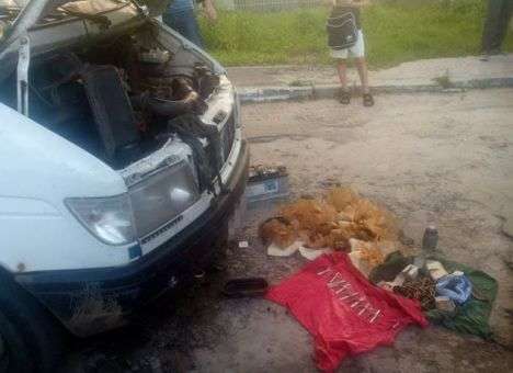 СБУ блокировала канал контрабанды оружия из Донбасса (ФОТО)