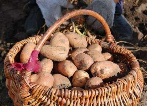 Расходы украинцев на уровне очень бедных стран, - эксперты