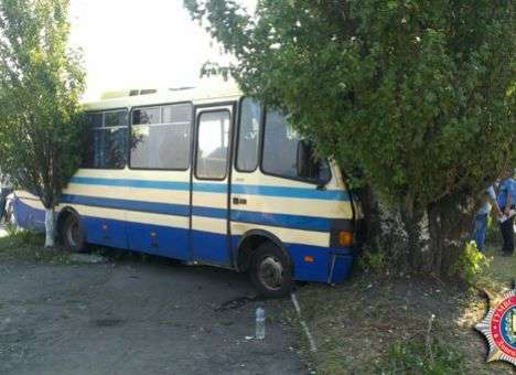 На Донетчиине пассажирский автобус врезался в дерево (ФОТО)