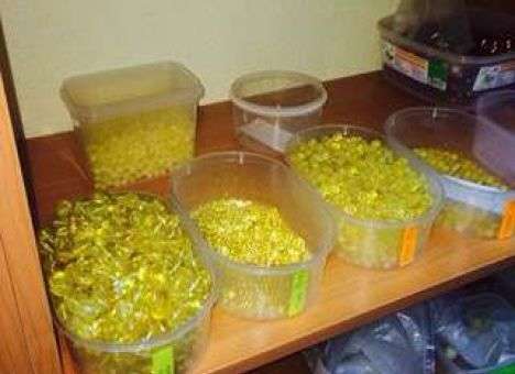 СБУ показала офис, в котором нашли тонны янтаря (ФОТО, ВИДЕО)