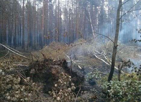 Зона отчуждения продолжает дымить