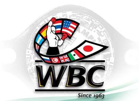 Украинские боксеры поднялись в рейтинге WBC