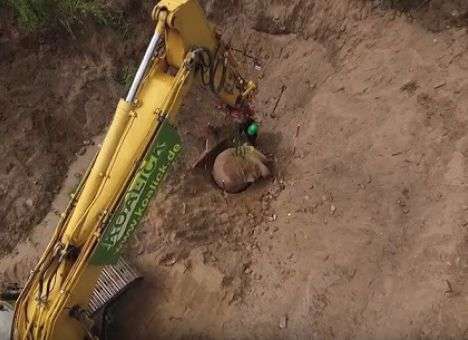 Ленин из-под земли: В Германии раскопали огромную голову вождя (ВИДЕО)