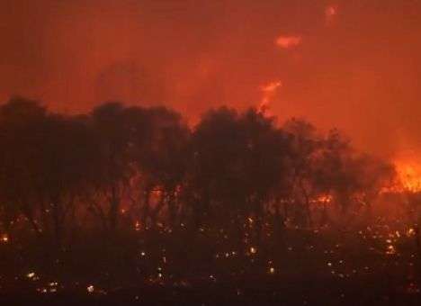 Сильнейшие пожары уничтожают жилые дома в Калифорнии (ВИДЕО)