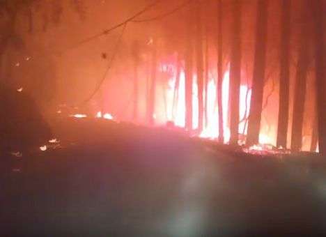 Огненный коридор: Опубликованы драматические кадры бегства семьи от пожара (ВИДЕО)