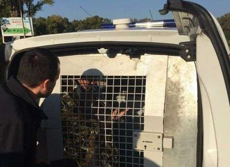 Из столичного водоема «выловили» мужчину с гранатой (ФОТО)