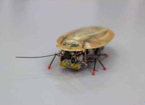 В России воссоздали «мертвую голову» (ФОТО)