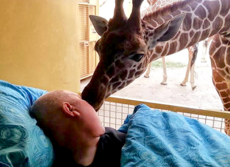 В ООН сплотились против глобальных вызовов