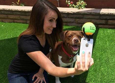 Американцы разработали устройство для селфи с собаками