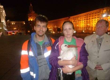 На Майдане прошла операция по спасению аиста (ФОТО)