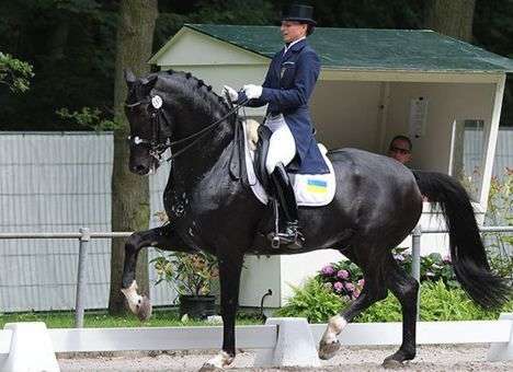 Украинская всадница выиграла этап Кубка мира по выездке