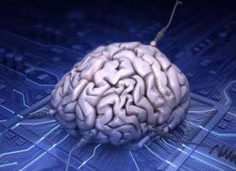 Швейцарцы запустили первый в мире кибер-мозг крысы