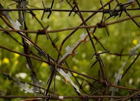 Словения пережила самые напряженные 24 часа с начала миграционного кризиса