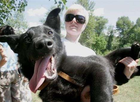 Созданы сверхмощные собаки-мутанты