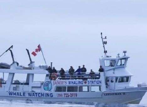 В Канаде на море разыгралась трагедия (ФОТО)