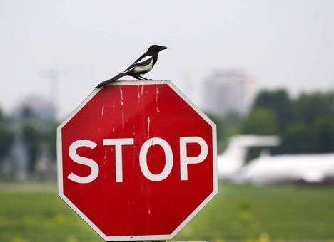 Москва предложила Киеву полную отмену авиасанкций