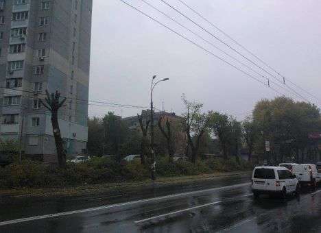 Киев немного «облысеет» (ФОТО)