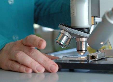 Раком можно заразиться, - результаты исследования