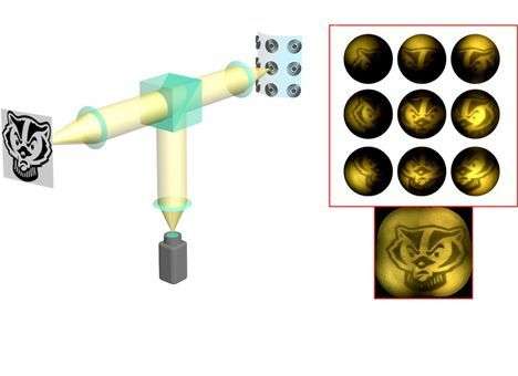 Ученые создали линзы на основе фасеточных глаз насекомых