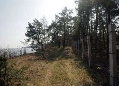 В Киеве задержан один из сообщников Януковича, - СБУ