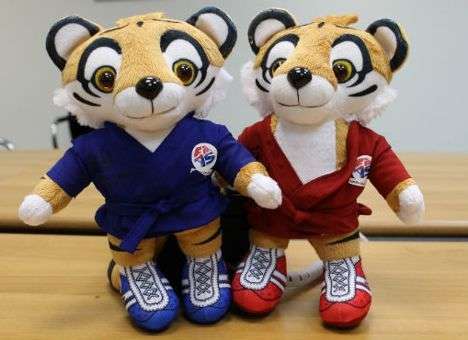 Женская сборная Украины заняла второе место на ЧМ по самбо