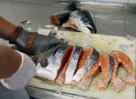 В продажу поступит рыба с чужеродной ДНК