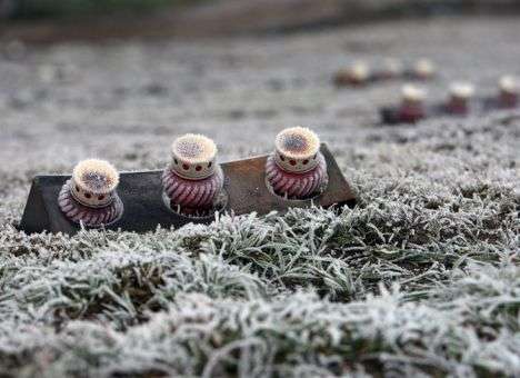 Маме до смерти снились люди, которые просили еду: рассказы тех, кто пережил Голодомор