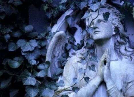 В Москве к покойникам проведут Wi-Fi