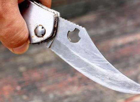 Школьница жестоко убила отца и всадила нож в спину матери