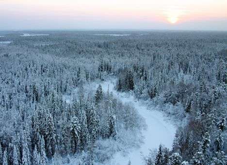 В тайге насмерть замерзли 20-летние подруги