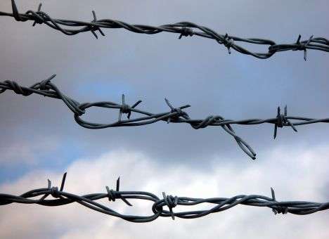 Люди, спасающиеся от ужасов «ИГ», сдаются и возвращаются на родину, - The Washington Post