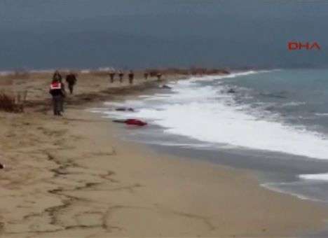 Побережье Турции усеяно трупами (ФОТО)